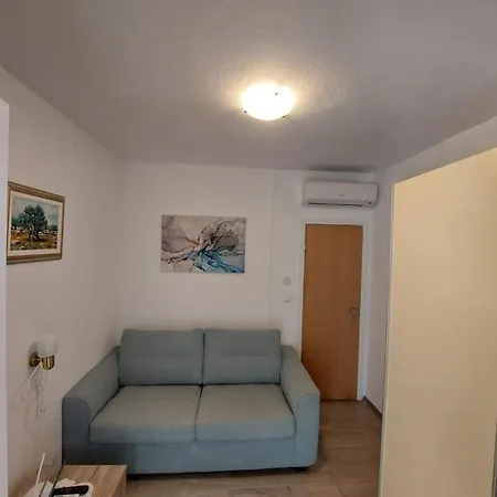 Apartment Vucetic *